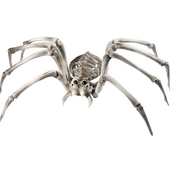 skeleton spider prop