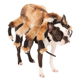 Pet Giant Spider Costume