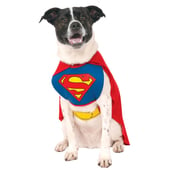 pet superman costume