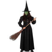 Wicked witch costume