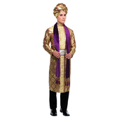 Bollywood Man Costume