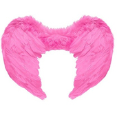 Pink Feather Wings