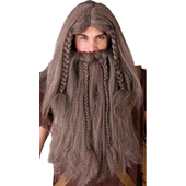 Men's Viking Wig & Beard