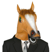 Crazy horse mask