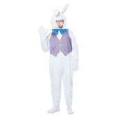 CC01251
Easter Bunny Costume