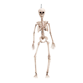 Hanging Skeleton Decoration