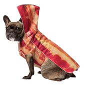 Bacon Dog Pet Costume