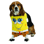 SpongeBob Pet Costume