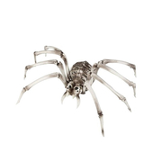 Skeleton Spider
