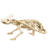 skeleton rat decoration