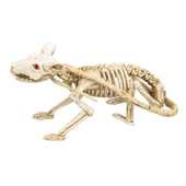 skeleton rat decoration
