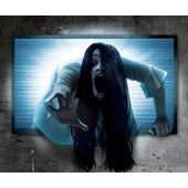 Window Adhesive 70 x 80cm