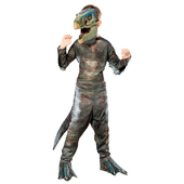 Dinosuar Costume