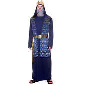 Blue Wise Man Costume