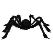 Black Spider Decoration