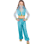 Arabian Princess Costume