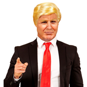 The President Wig