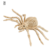 Spider Skeleton