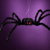 Animated Giant Spider