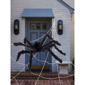 Giant Spider & 1.2M Web