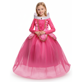Deluxe Sleeping Beauty Costume