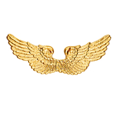 Golden Angel Wings
