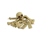 Skull and Bones