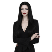 Ladies Long Black Wig