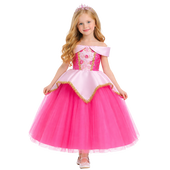 Deluxe Sleeping Beauty Costume