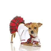 School Puppy Costume
