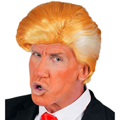 Mr.President Wig