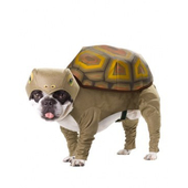 Animal Planet Tortoise Dog costume