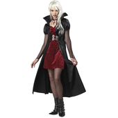 Blood Thirsty Beauty Teen Costume