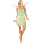 Ladies Neverland Fairy costume