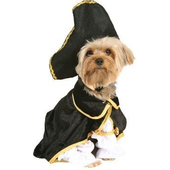 Captain Canine