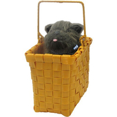 'Toto In A Basket' Bag