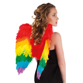 Rainbow Wings