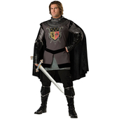 Medieval knight costume