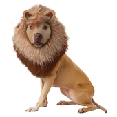 Lion Dog Costume