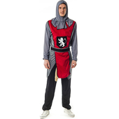 knight costume