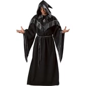 dark sorcerer costume