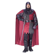 Valiant Knight Costume