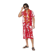 Hawaiia Hunk Costume