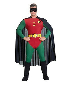 Robin costume