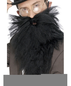 Long beard and moustache