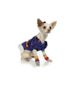 Rainbow Cutie Puppy Costume