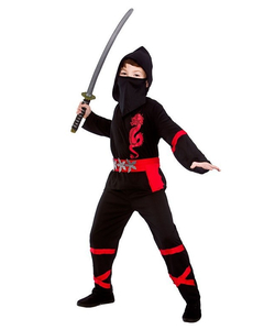 Power ninja costume