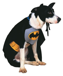 pet batman costume