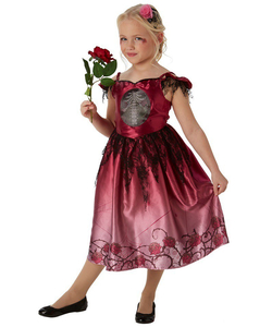 Rags & Roses Costume - Kids