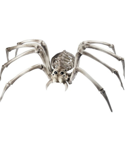 skeleton spider prop